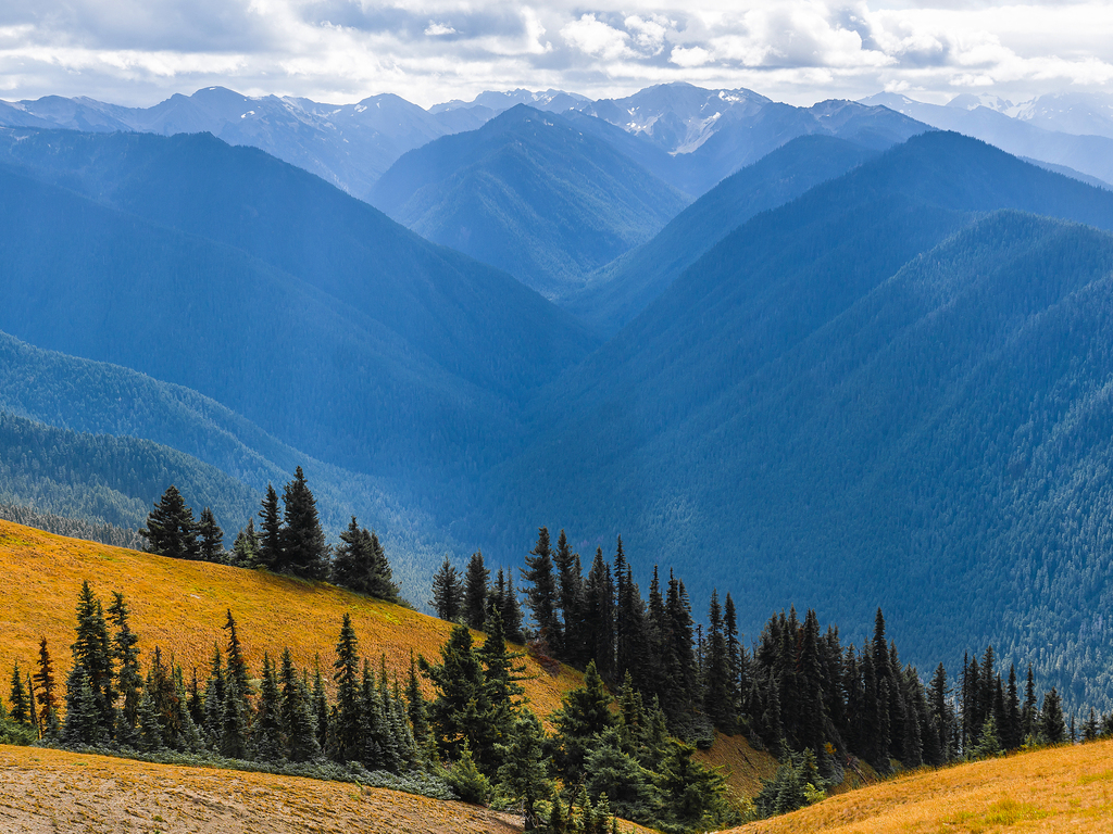 A Week in The Pacific Northwest